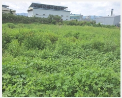  2025Ÿ��657  ����