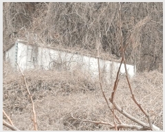  2025Ÿ��11047  �����