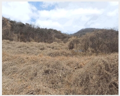  2025Ÿ��11047  �����