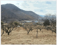  2025Ÿ��11047  �����