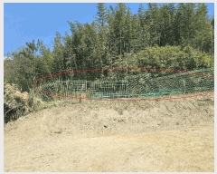  2025Ÿ11169 泲 ؽ ̸  559      (1)