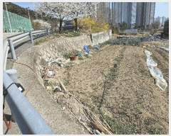  2025Ÿ11169 泲 ؽ ̸  559      (1)