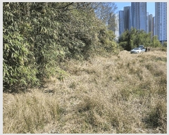  2025Ÿ11169 泲 ؽ ̸  559      (1)