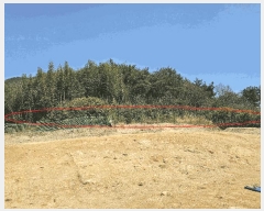  2025Ÿ11169 泲 ؽ ̸  559      (1)