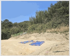  2025Ÿ11169 泲 ؽ ̸  559      (1)