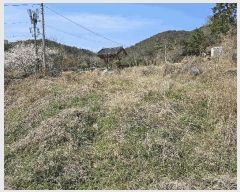  2025Ÿ11169 泲 ؽ ̸  559      (1)