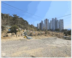  2025Ÿ11169 泲 ؽ ̸  559      (1)