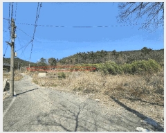  2025Ÿ11169 泲 ؽ ̸  559      (1)