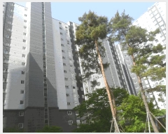  2025Ÿ��11341 �泲 ���ؽ� �ܵ� 1427 ���ؿܵ����������þ� 112�� 8��801ȣ    ����Ʈ���