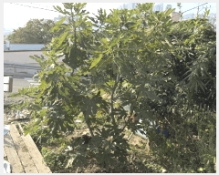  2025Ÿ��11357  �����