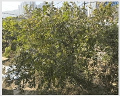  2025Ÿ��11357  �����