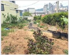  2025Ÿ��11357  �����