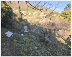  2025Ÿ��11502 �泲 â���� ���ر� ��ȭ�� 1371-1      ����(��)���