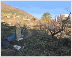  2025Ÿ��11502 �泲 â���� ���ر� ��ȭ�� 1371-1      ����(��)���