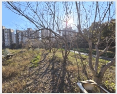  2025Ÿ��11502 �泲 â���� ���ر� ��ȭ�� 1371-1      ����(��)���