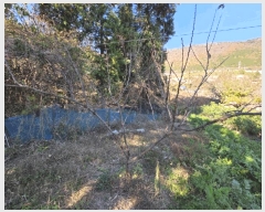  2025Ÿ��11502 �泲 â���� ���ر� ��ȭ�� 1371-1      ����(��)���