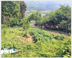  2025Ÿ��11502 �泲 â���� ���ر� ��ȭ�� 1371-1      ����(��)���