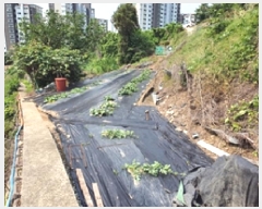  2025Ÿ��11502 �泲 â���� ���ر� ��ȭ�� 1371-1      ����(��)���