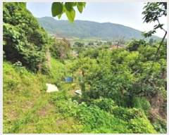  2025Ÿ��11502 �泲 â���� ���ر� ��ȭ�� 1371-1      ����(��)���