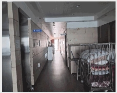  2025Ÿ��11566  ���ü����