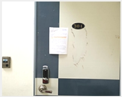  2025Ÿ��11629  �ټ���(����)���