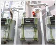  2025Ÿ��11629  �ټ���(����)���