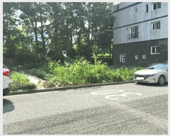  2025Ÿ��11649  �������