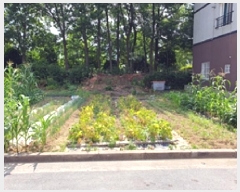  2025Ÿ��11649  �������