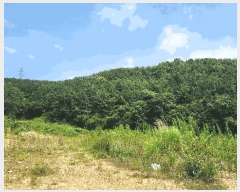  2025Ÿ��11703  �Ӿ߰��