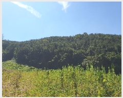  2025Ÿ��11703  �Ӿ߰��