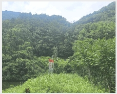  2025Ÿ��11841 �泲 ���ؽ� ��赿 ��126       ����(�Ӿ�)���