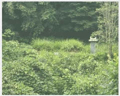  2025Ÿ��11841 �泲 ���ؽ� ��赿 ��126       ����(�Ӿ�)���