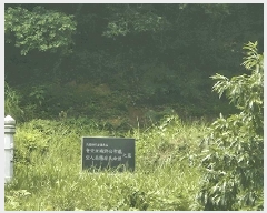  2025Ÿ��11841 �泲 ���ؽ� ��赿 ��126       ����(�Ӿ�)���