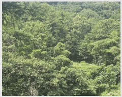  2025Ÿ��11841 �泲 ���ؽ� ��赿 ��126       ����(�Ӿ�)���