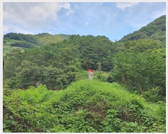  2025Ÿ��11841 �泲 ���ؽ� ��赿 ��126       ����(�Ӿ�)���