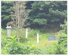  2025Ÿ��11841 �泲 ���ؽ� ��赿 ��126       ����(�Ӿ�)���