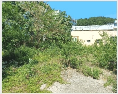  2025Ÿ��11863  �������