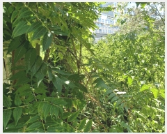  2025Ÿ��11863  �������