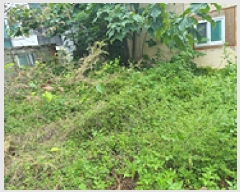  2025Ÿ��11863  �������