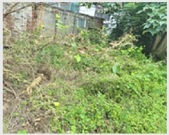  2025Ÿ��11863  �������