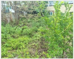  2025Ÿ��11863  �������