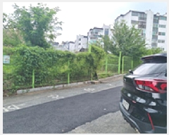  2025Ÿ��11863  �������