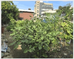  2025Ÿ��11951  �������