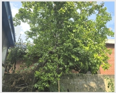  2025Ÿ��11951  �������