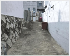  2025Ÿ��11951  �������