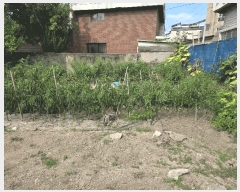  2025Ÿ��11951  �������