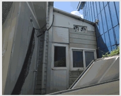  2025Ÿ��11958  ������