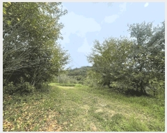  2025Ÿ��11976  ���������