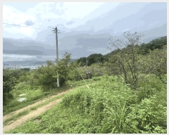  2025Ÿ��11976  ���������