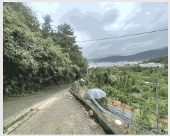  2025Ÿ��11976  ���������